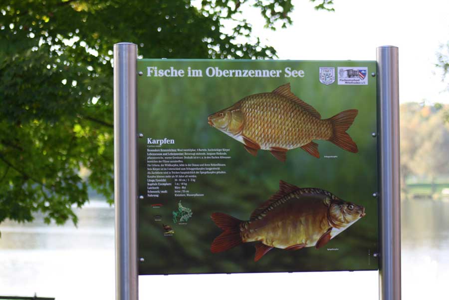 Rundweg um den See mit Infotafeln