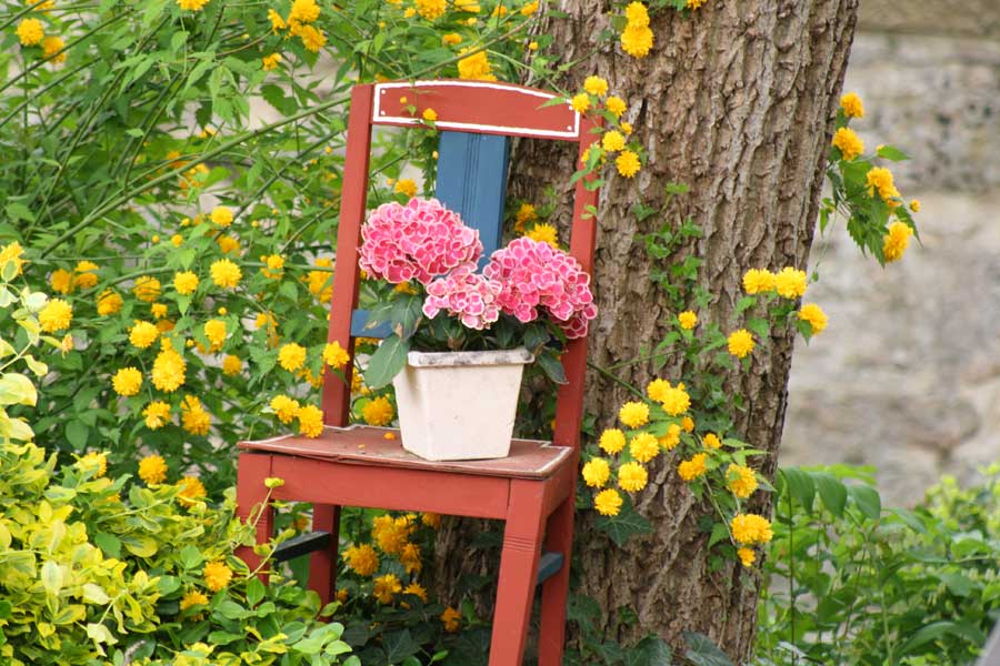 Abtauchen in unsere grüne Oase