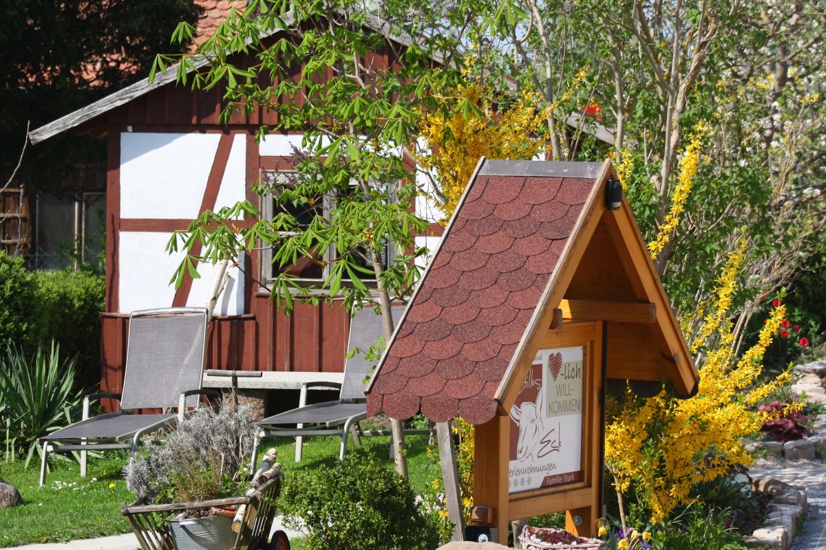 Entspannen auf unseren Sonnenliegen mit individuellen Sonnen- und Schattenplätzen