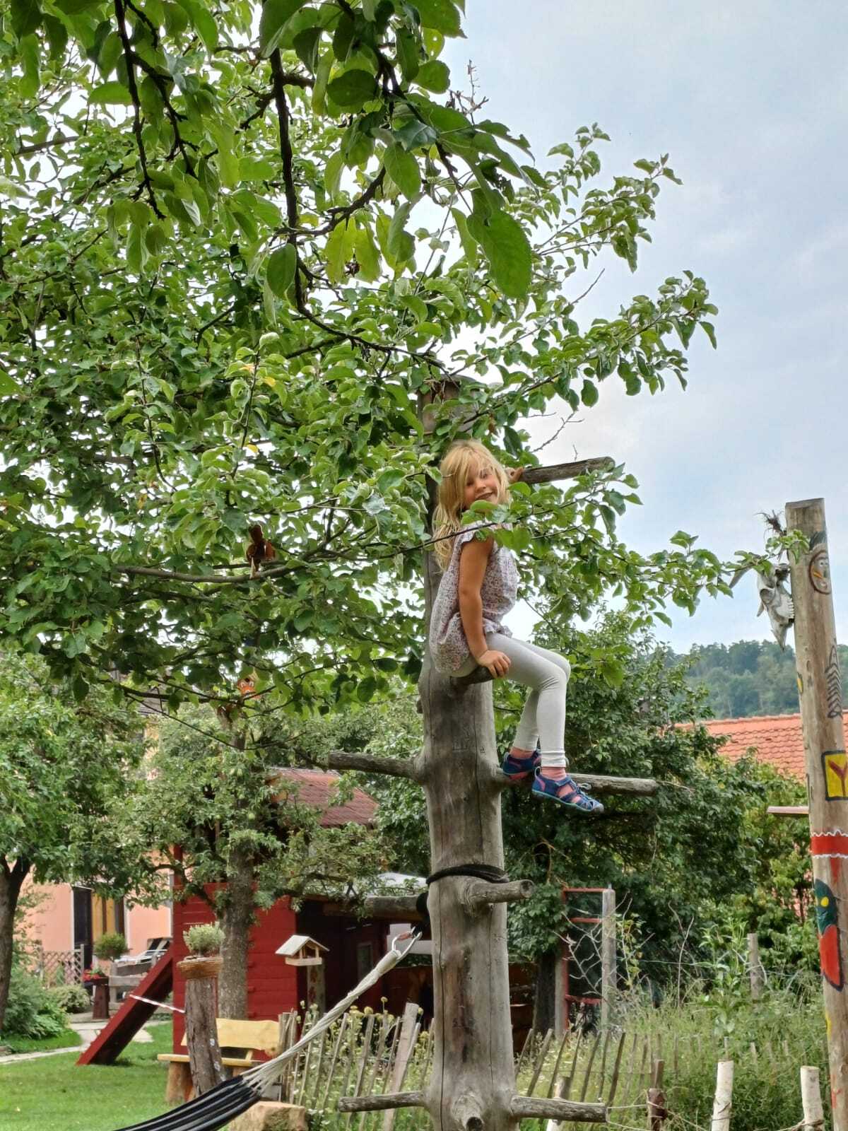 Kletterbaum für kleine Kletteräffchen